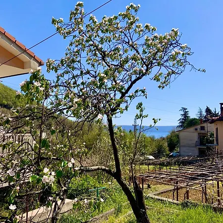 Villa Flamingo Mošćenička Draga Buitenkant foto